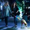 5FT Light Up Dog Leash LED Dog Leash Dog Walking Leash with 9 Light Colors IPX7 Waterproof USB Rechargeable