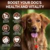 Mushroom for Dogs 170 Chews Turkey Tail Mushroom for Dogs Mushroom Supplement for Dogs Lions Mane Reishi Immunity Support Multivitamin Joint Health En