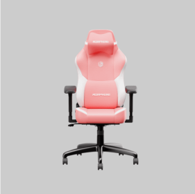 Gaming Chair (Option: Pink and white)